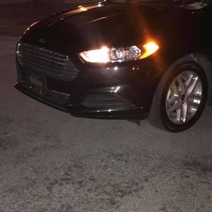 Meet your Posher, Larry